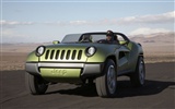 Jeep Tapete Album (1) #7