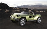 Jeep Tapete Album (1) #17