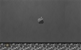 Apple theme wallpaper album (34) #3