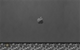 tema de fondo de pantalla de Apple álbum (34) #3