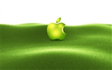 Apple theme wallpaper album (35) #18