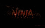 Ninja Assassin HD tapetu #23