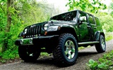 Jeep wallpaper album (3) #16