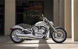 Harley-Davidson Wallpaper Album (2) #12