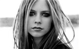 Avril Lavigne 艾薇兒·拉維尼 美女壁紙(三) #10