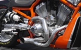 Harley-Davidson Wallpaper Album (3) #10