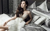 Fan Bingbing Foto HD Wallpaper #6