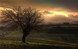 Large Landscape wallpaper collection (3) #15