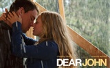 Dear John 分手信 高清壁紙 #22