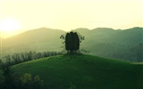 Large Landscape wallpaper collection (6) #11