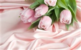 Tulip wallpaper album (9) #3