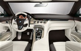 BMW Concept Car tapety (1) #13