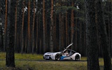 BMW concept car wallpaper (2) #12