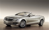 Mercedes-Benz fondos de escritorio de concept car (1) #5