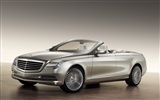 Mercedes-Benz concept car wallpaper (1) #5