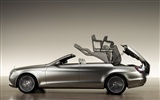 Mercedes-Benz concept car wallpaper (1) #7