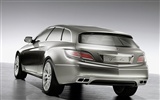 Mercedes-Benz fondos de escritorio de concept car (1) #9
