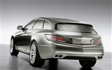 Mercedes-Benz wallpaper concept-car (1) #9