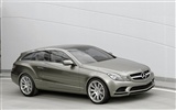 Mercedes-Benz fondos de escritorio de concept car (1) #10