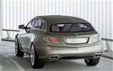 Mercedes-Benz fondos de escritorio de concept car (1) #13