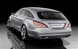 Mercedes-Benz fondos de escritorio de concept car (1) #17