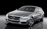 Mercedes-Benz wallpaper concept-car (1) #18