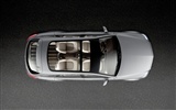 Mercedes-Benz concept car wallpaper (1) #19