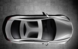 Mercedes-Benz fondos de escritorio de concept car (2) #13