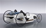 Mercedes-Benz Concept Car tapety (2) #14