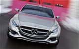 Mercedes-Benz fondos de escritorio de concept car (2) #16