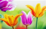 Widescreen wallpaper flowers close-up (14) #14