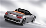 Volkswagen Concept Car Wallpaper (1) #8