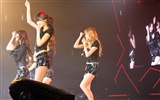 Girls Generation concert wallpaper (1) #7