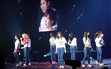 Girls Generation concert wallpaper (1) #13