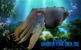 Under the Sea 3D 海底世界3D 高清壁紙