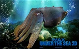 Under the Sea 3D 海底世界3D 高清壁紙