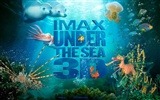 Pod mořem 3D tapety HD #48