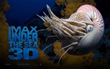 Dans le cadre du fond d'écran Sea 3D HD #49