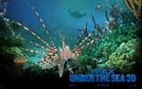 Under the Sea 3D HD wallpaper #1