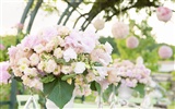 Hochzeiten und Blumen Wallpaper (1)