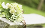 Hochzeiten und Blumen Wallpaper (2) #19