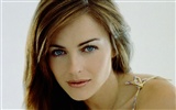 Elizabeth Hurley 伊莉莎白·赫莉 美女壁紙 #14