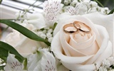 Weddings and wedding ring wallpaper (1) #2