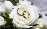 Weddings and wedding ring wallpaper (1) #3