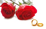 Weddings and wedding ring wallpaper (1) #12