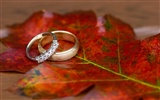 Weddings and wedding ring wallpaper (2) #16