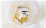 Weddings and wedding ring wallpaper (2) #18