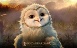 Legend of the Guardians: The Owls of Ga'Hoole (1) #10