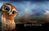 Legend of the Guardians: The Owls of Ga'Hoole (1) #11