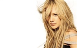 Hilary Duff beautiful wallpaper (2) #5